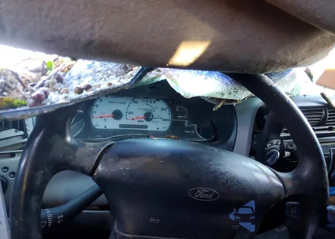 1995 Ford Ranger Super Cab z USA, uszkodzony, nr VIN 1FTCR15U9SPA42553